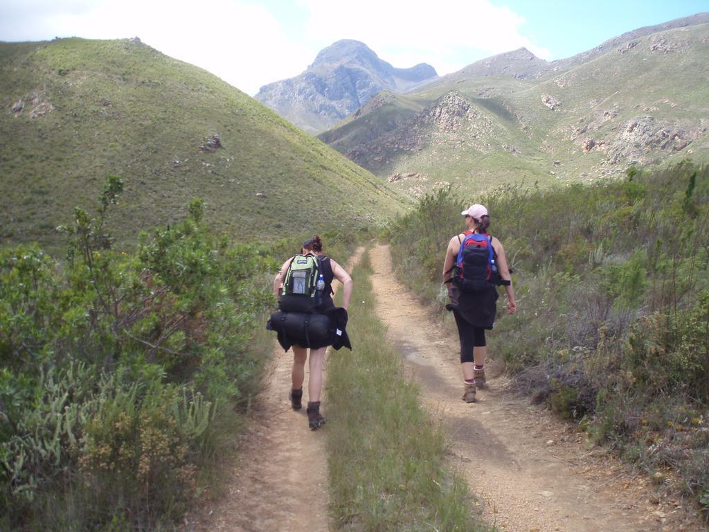 Hermanus Backpackers & Budget Accommodation Extérieur photo